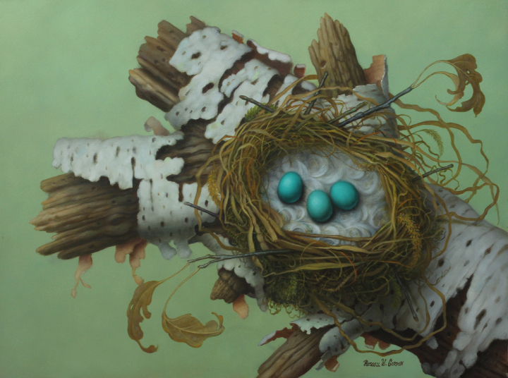 Bird's Nest in Birch