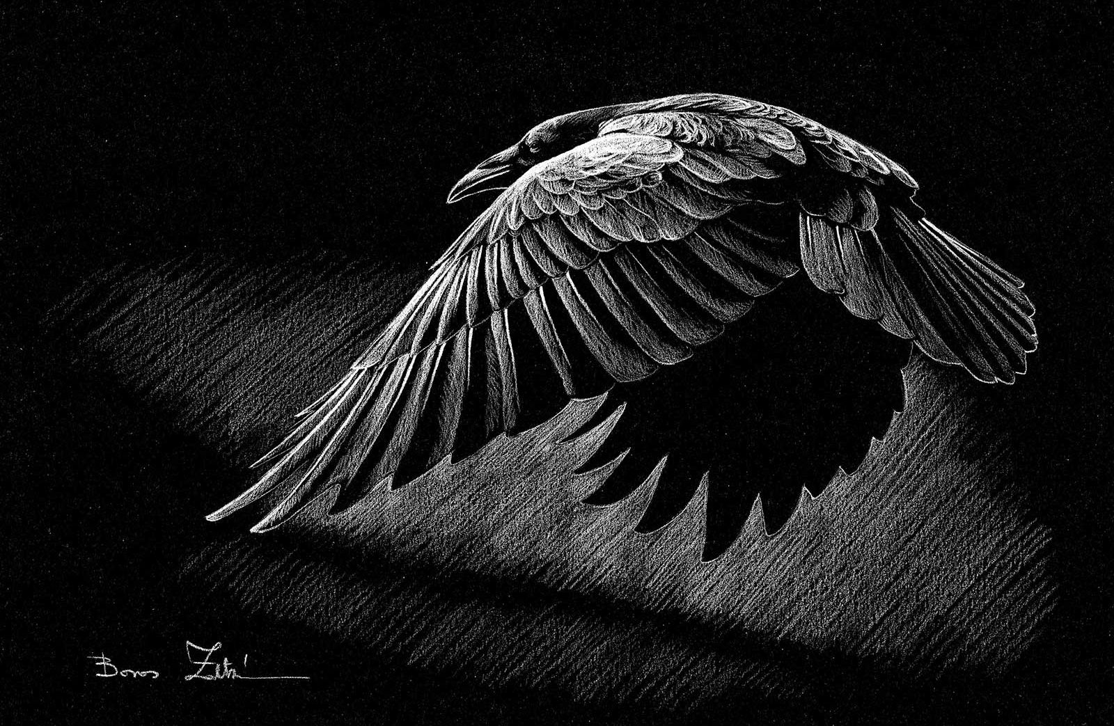 American Art Collector - Issue #242