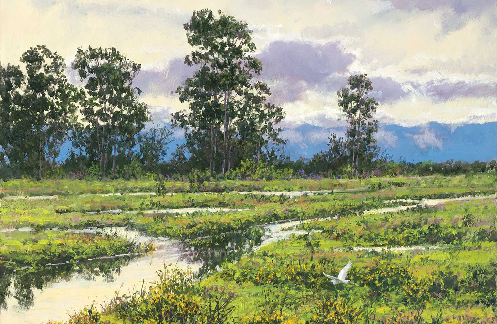 American Art Collector - Issue #242