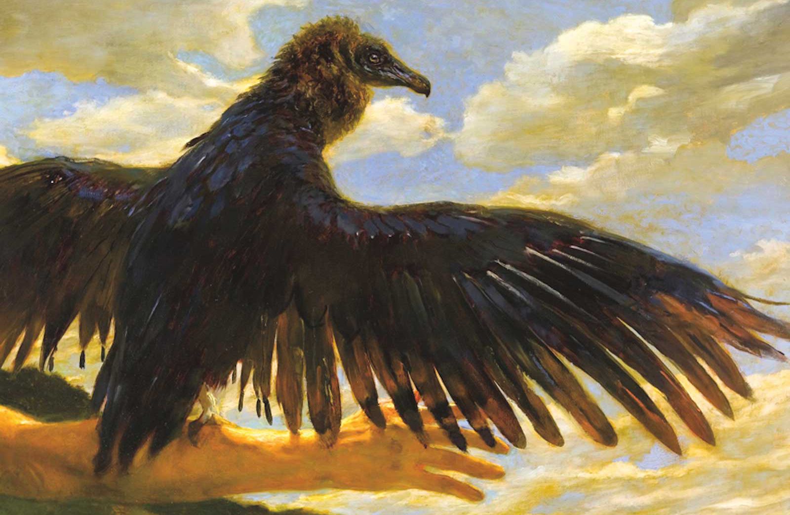 American Art Collector - Issue #242