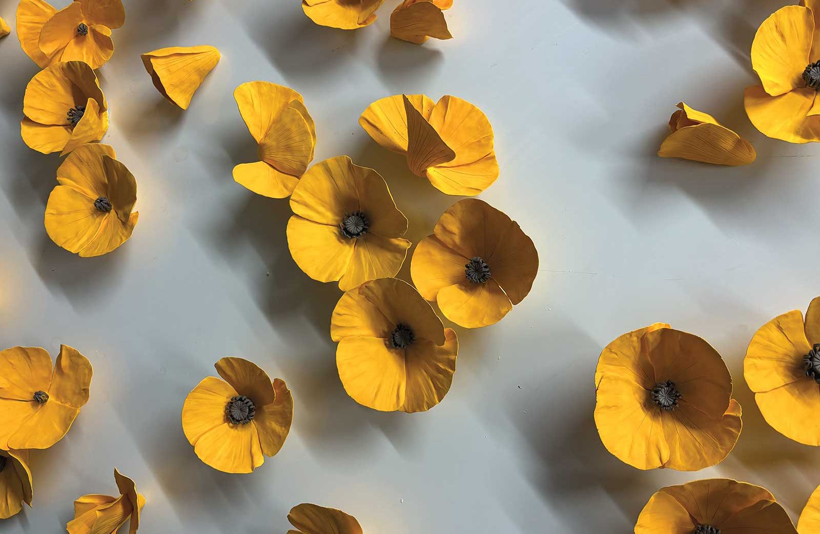 American Art Collector - Issue #244