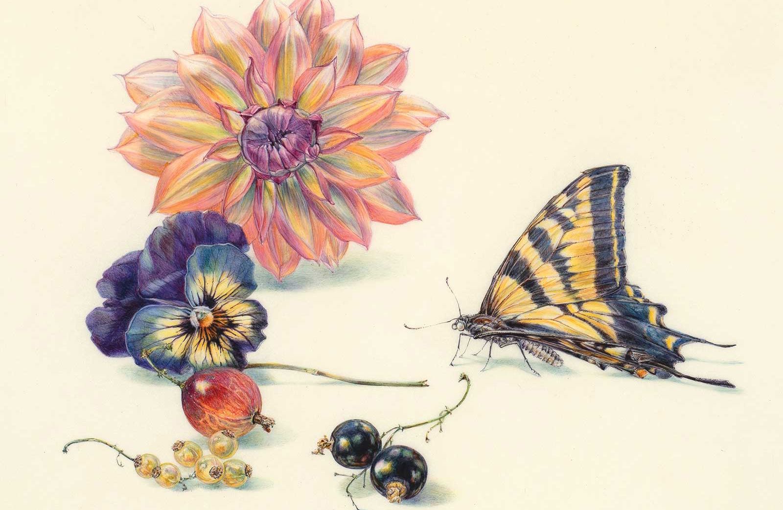 American Art Collector - Issue #245