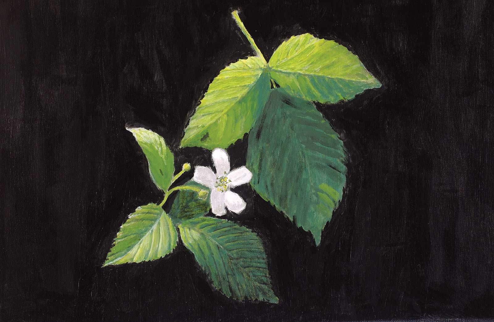 American Art Collector - Issue #245