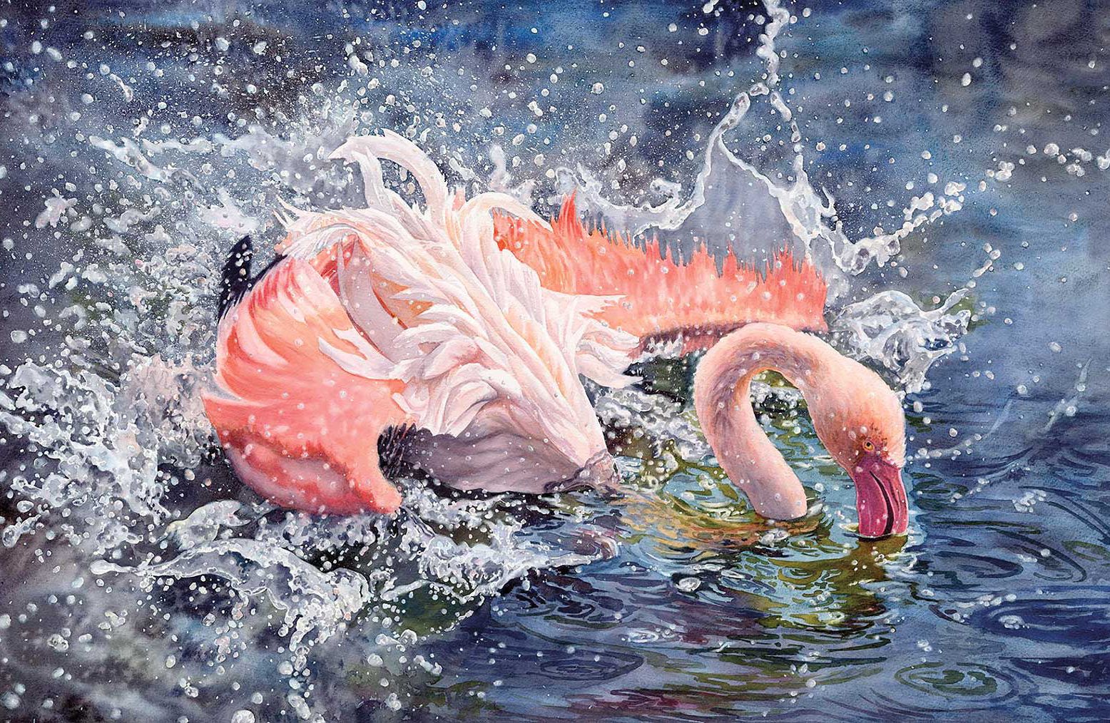 American Art Collector - Issue #246