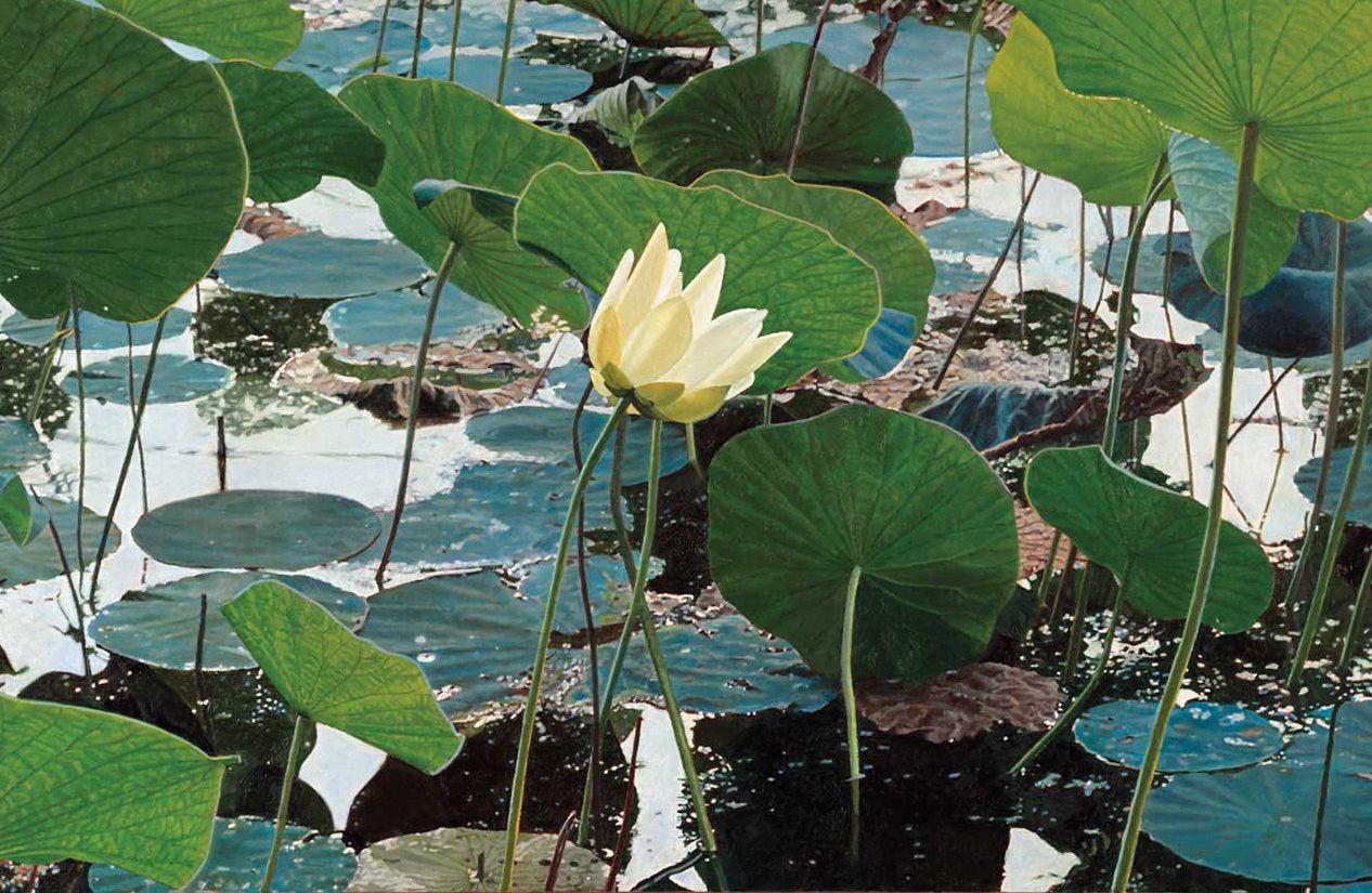 American Art Collector - Issue #246