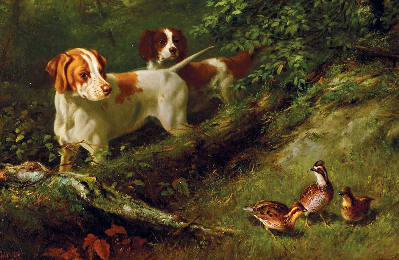 American Art Collector - Issue #247