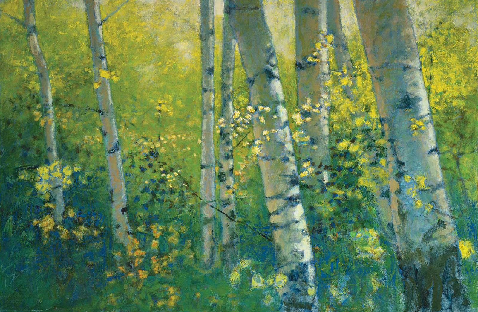 American Art Collector - Issue #249
