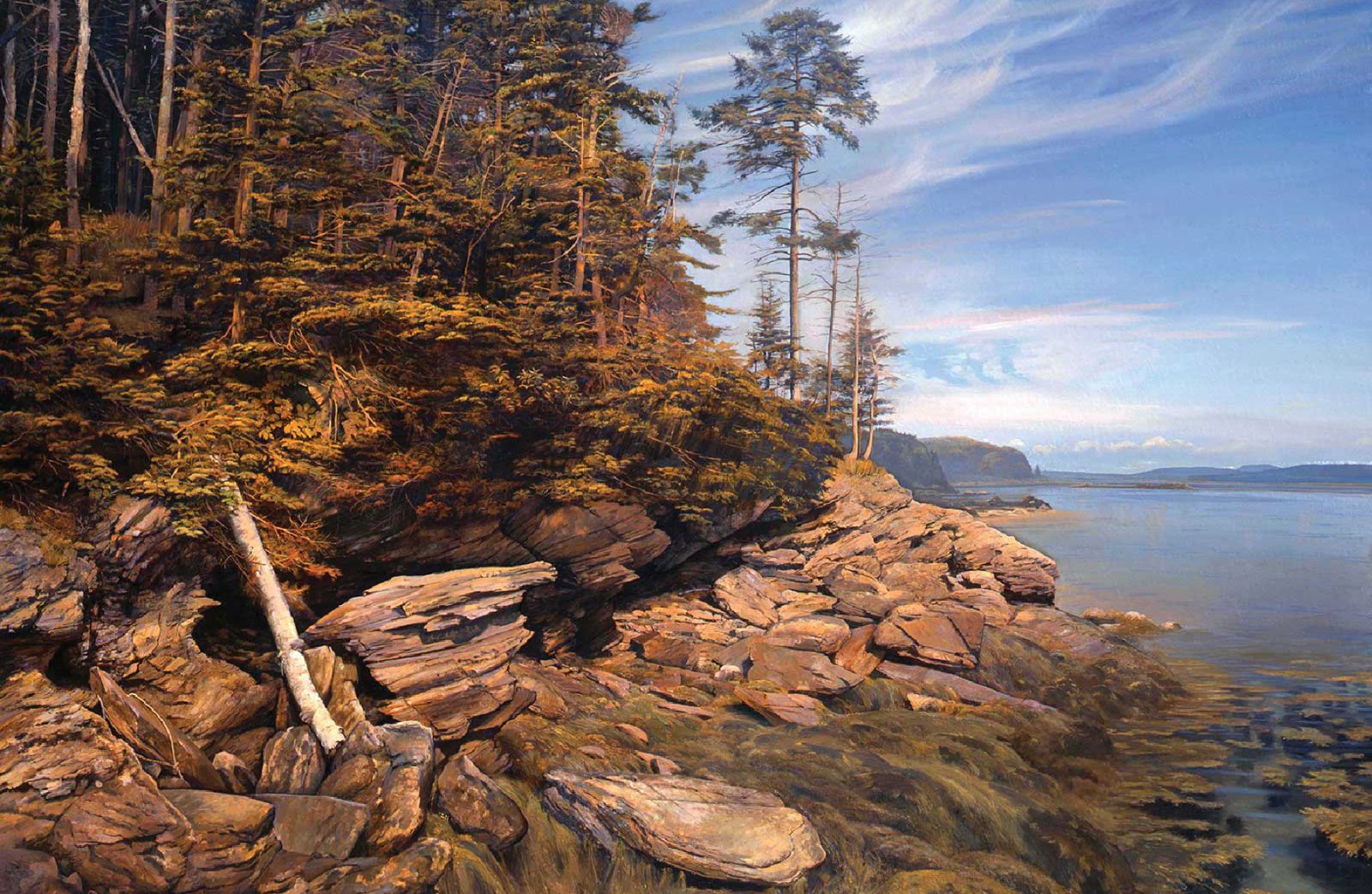 American Art Collector - Issue #252
