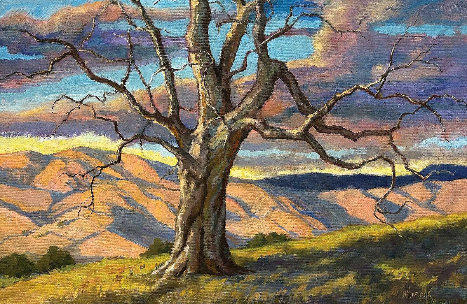 American Art Collector - Issue #253