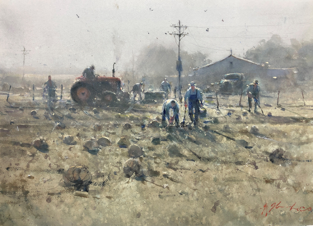 Harvest Season