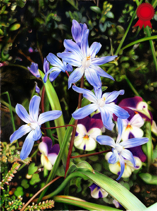 Spring in the Abbey Gardens