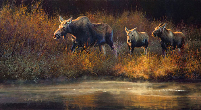 Moose Creek Drifters