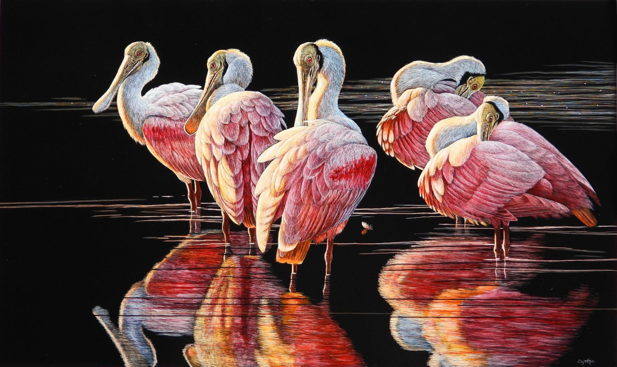 Sunset Spoonbills