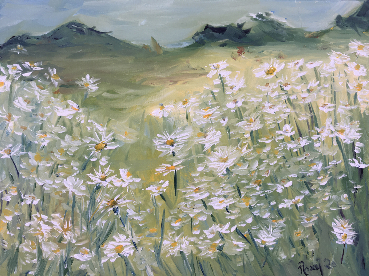 Field of Daisies