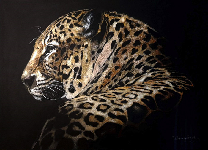 Leopard