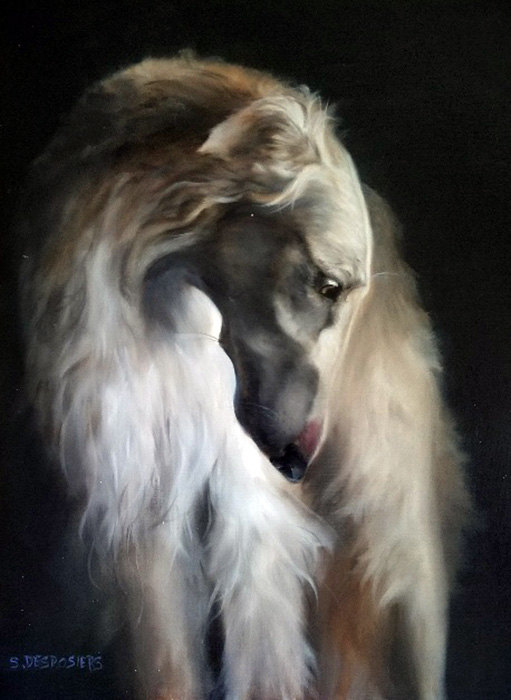 Borzoi Head Study