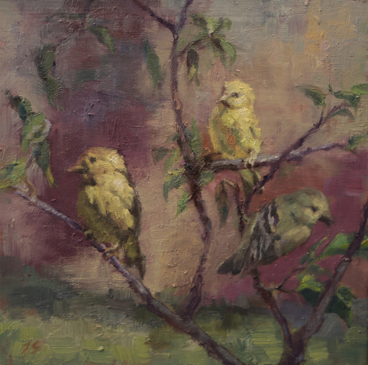 The Three Finches