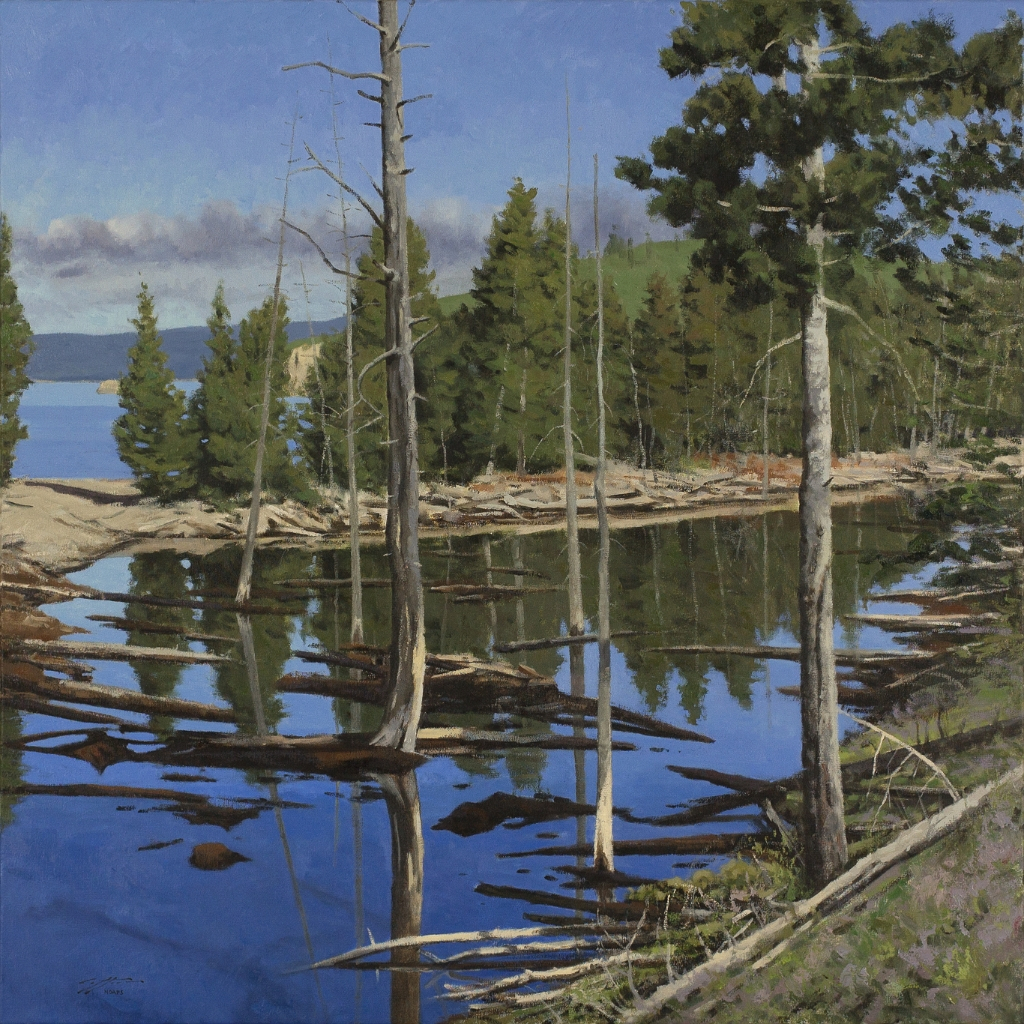 Cove at Yellowstone Lake