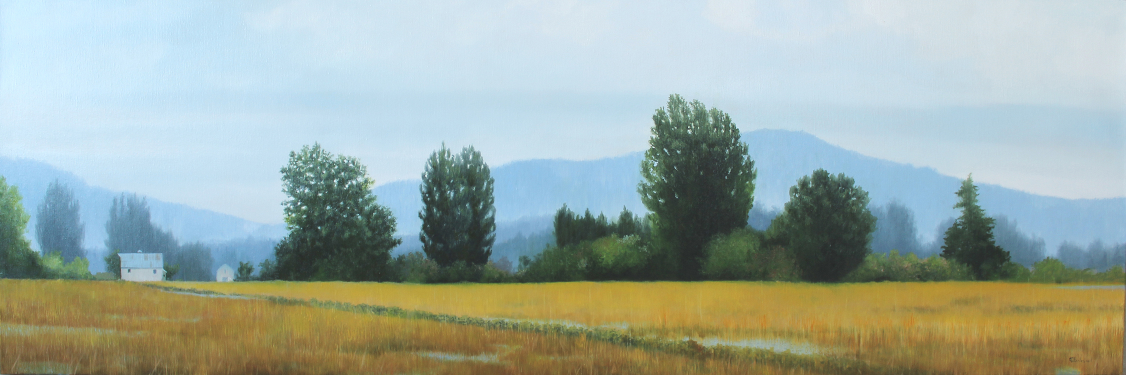 Liquid Sunshine