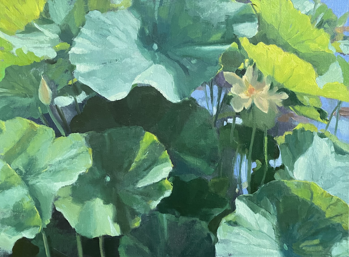 Lotus in the Sun
