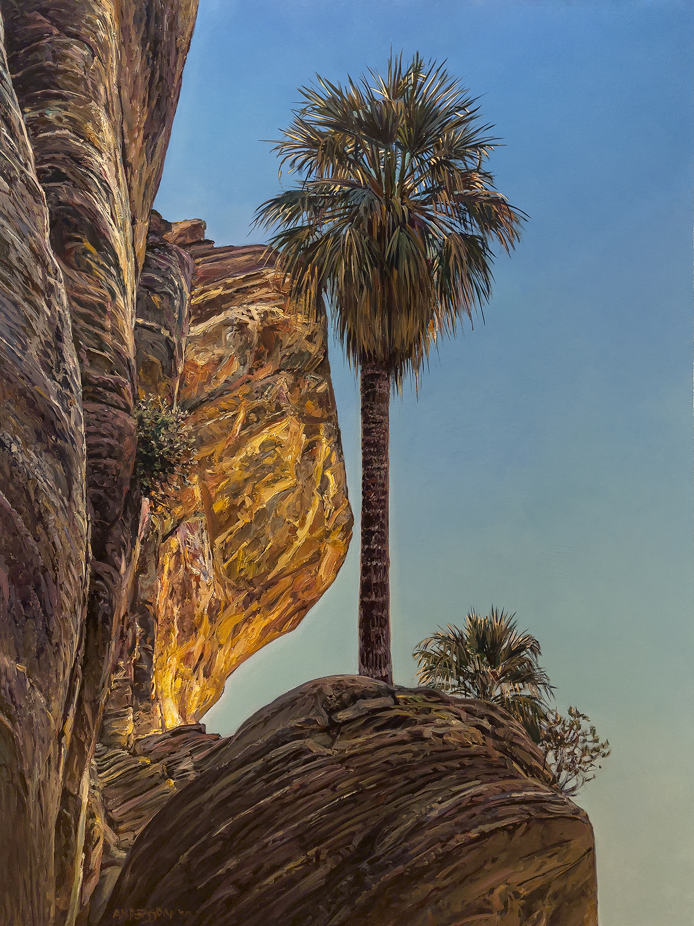 Indian Canyons, I