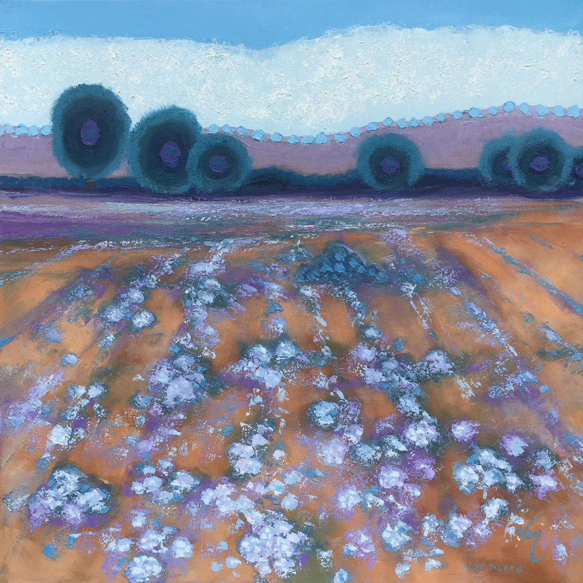 A Little Bit of Cotton