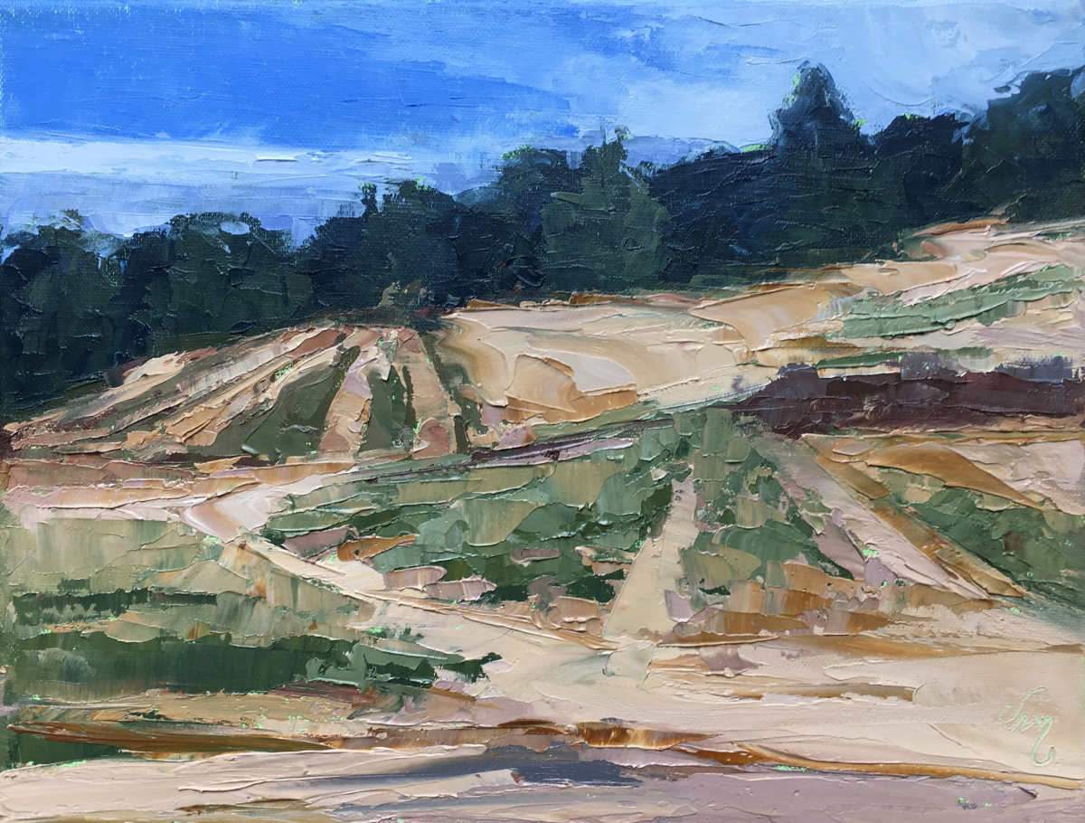 Dune Trails