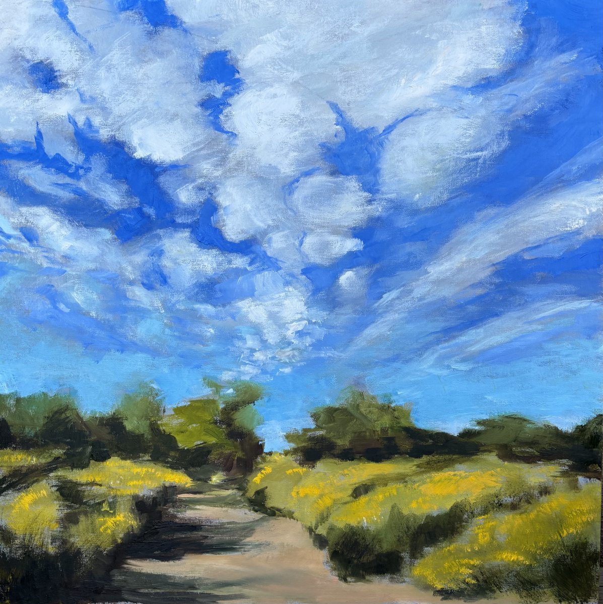 The Way in, Arroyo Path