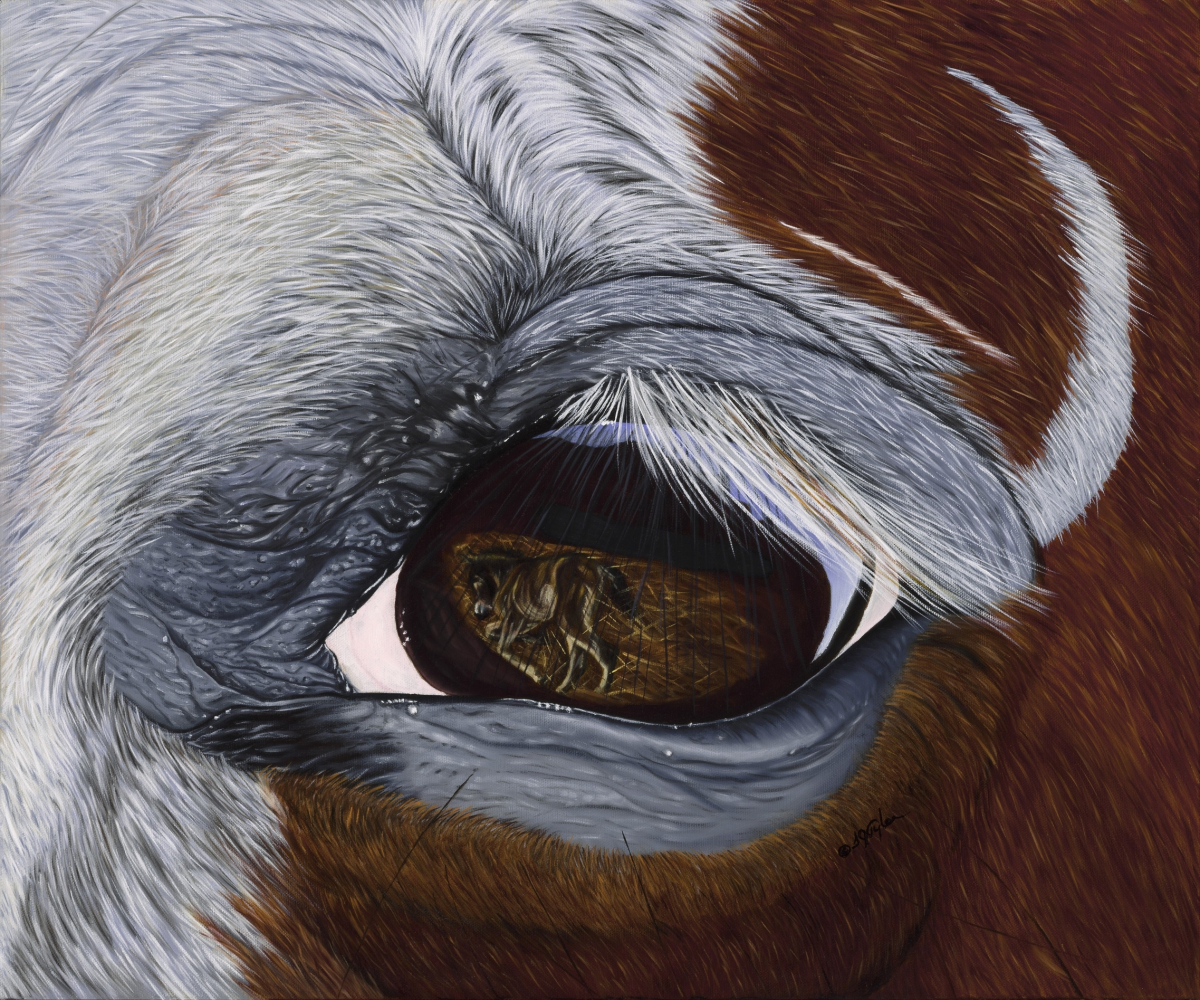 In A Mare's Eye