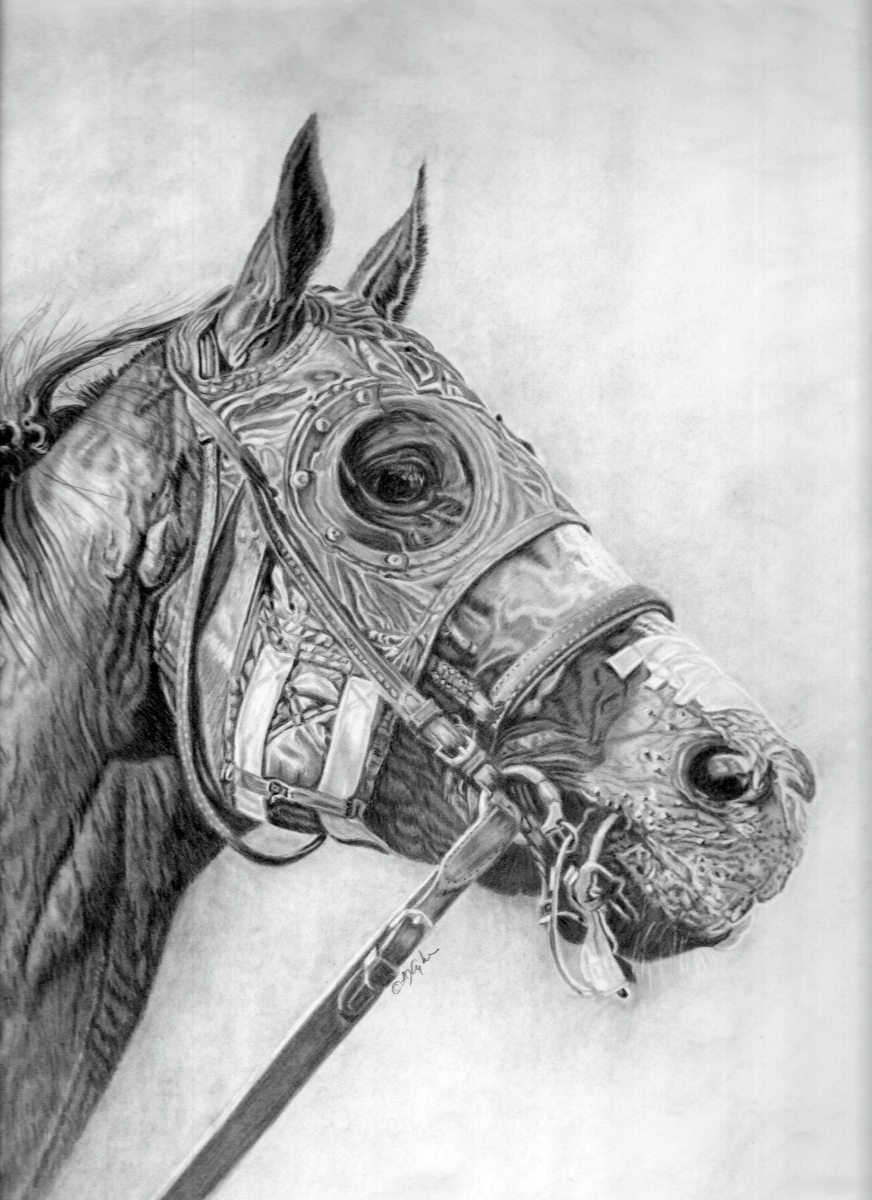 California Chrome