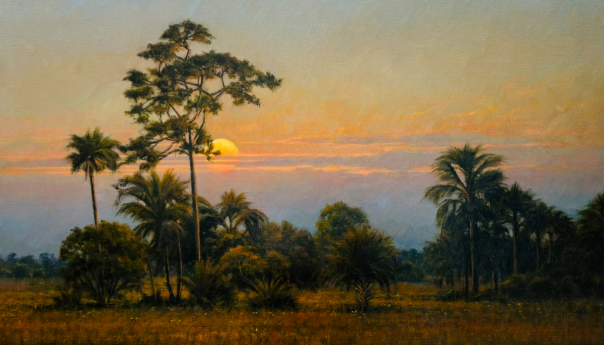 BIG CYPRESS SUNDOWN