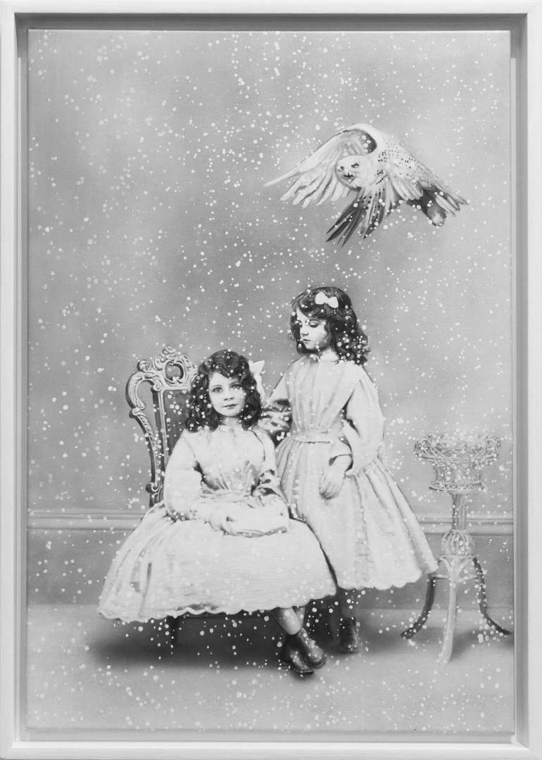 Sisters and  Snowy Owl