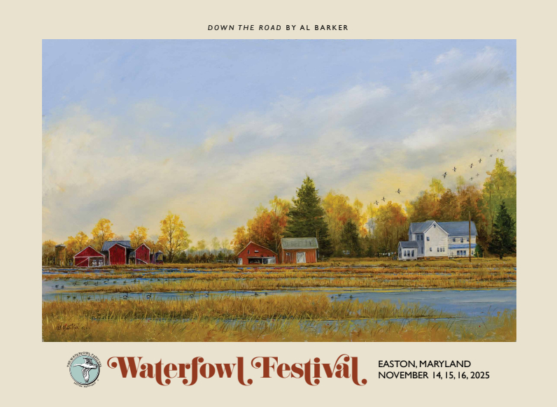 2025 Poster of the year"Down The Road"