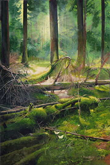 Ethereal Forest Glow