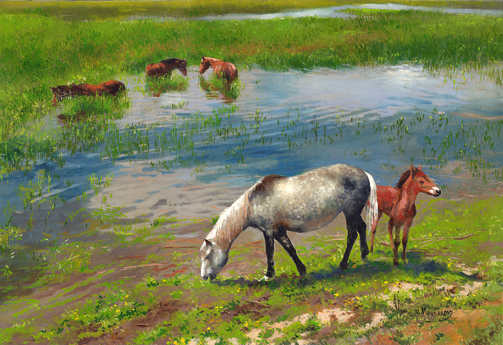 Pastoral Equine Oasis