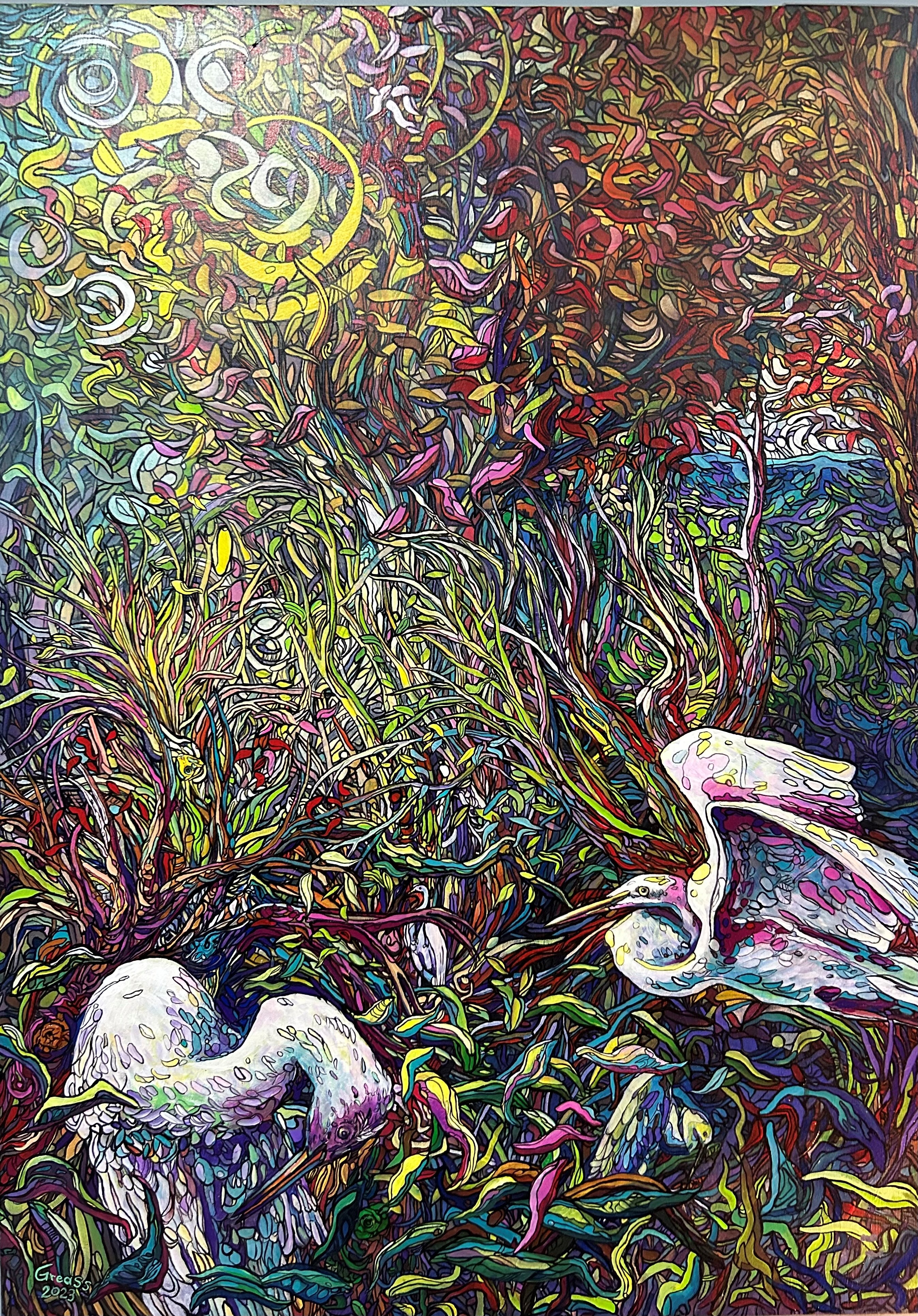 Garzas Bueyeras