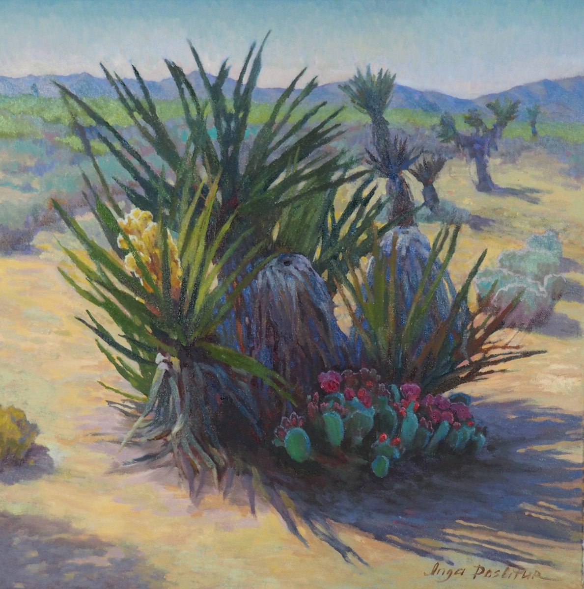 Desert Magenta Blush