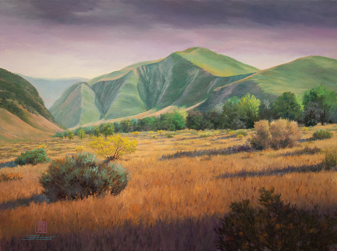 Eternal Grassland