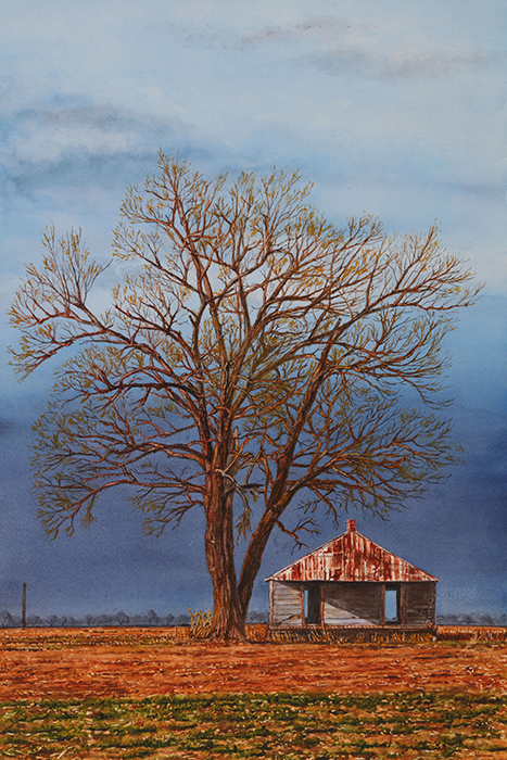 After the Storm
