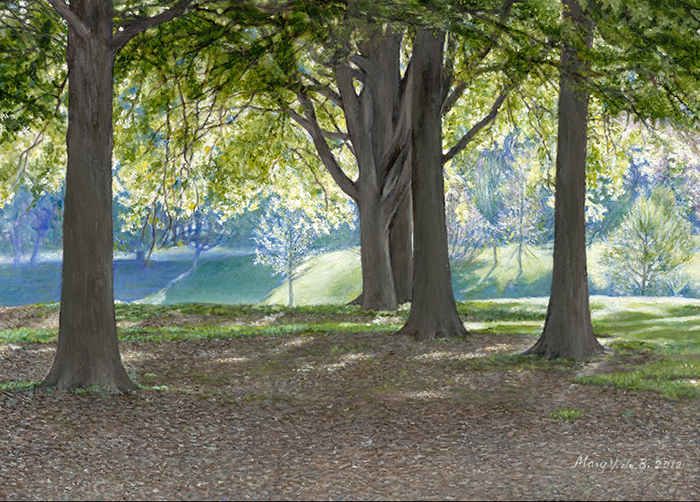 Spring Morning in Amsley Park