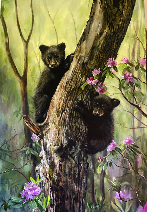Springtime in Appalachia