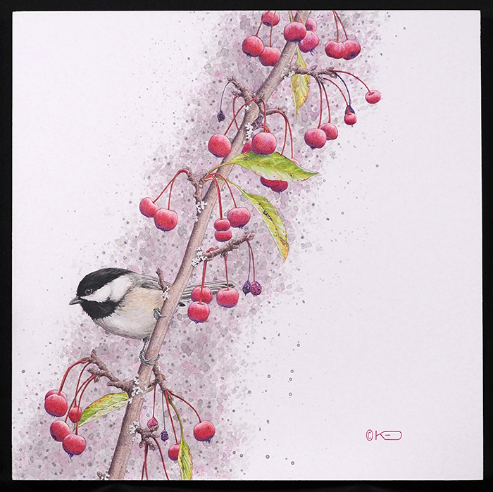 Fruit-Black Capped Chickadee
