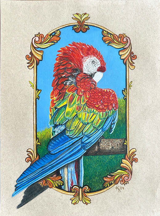 Pretty Bird
