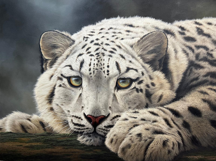 Snow Leopard-Edge of Silence