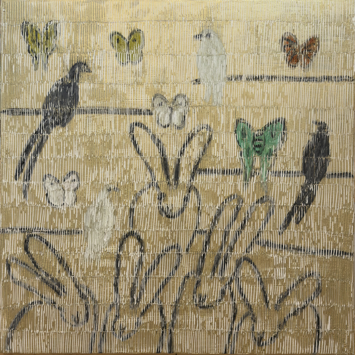 Whydahs & Butterflies