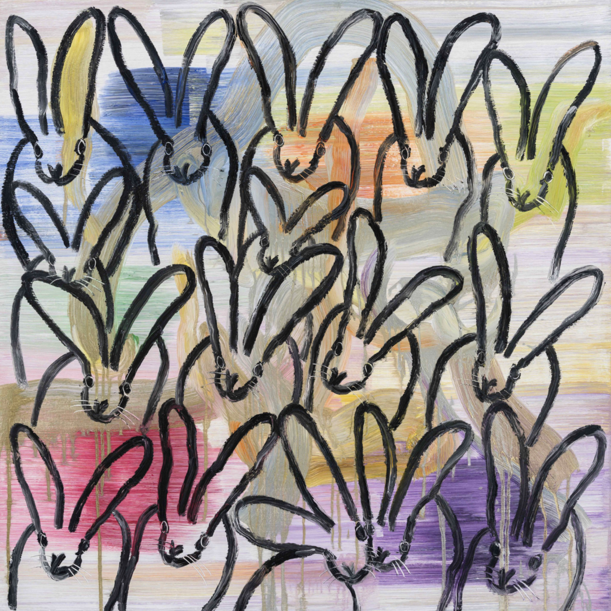 Chinensis Red Splash