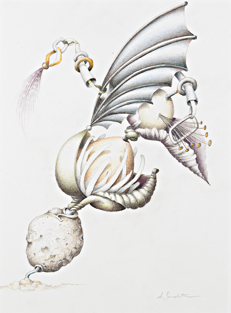 We finally found a plant that loves the shade