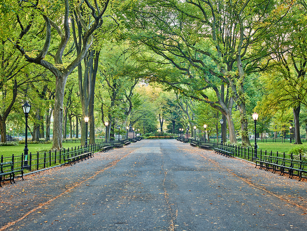 The Mall in Central Park