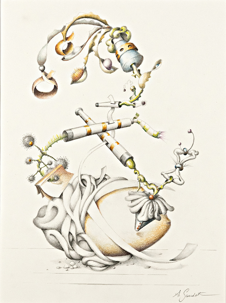 This book has so many twists and turns you’ll never guess the ending