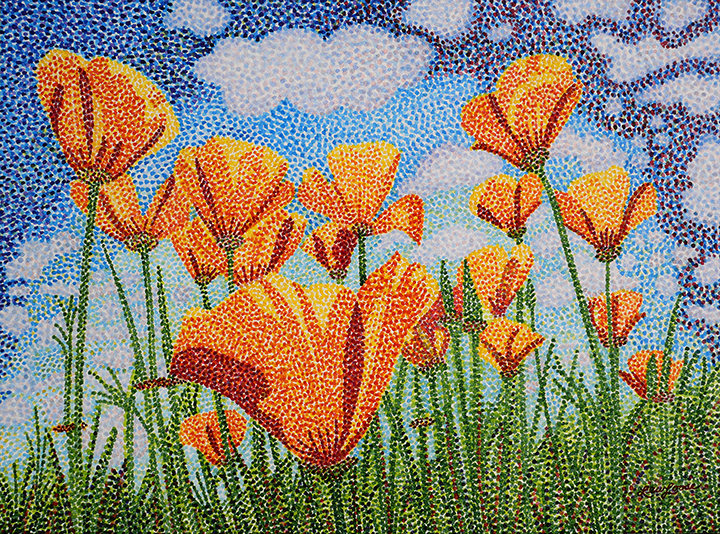 Poppy Clouds